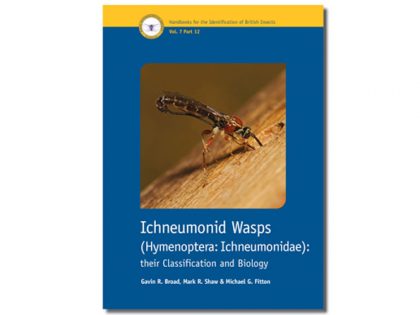 7.347 Ichneumonid Wasps