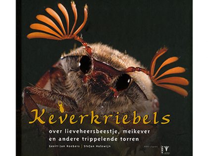 Aanbieding25 keverkriebels