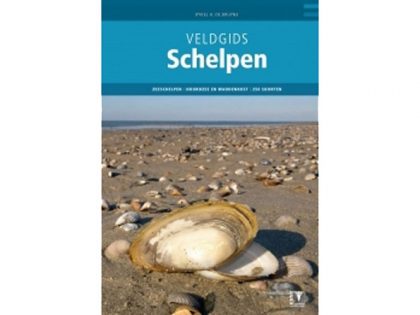 VG37 Veldgids Schelpen