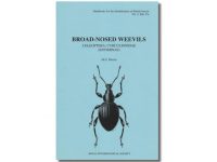 8.249 Broad nosed weevils FSC