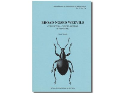 8.249 Broad nosed weevils FSC