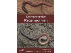 JB05 De Nederlandse Regenwormen