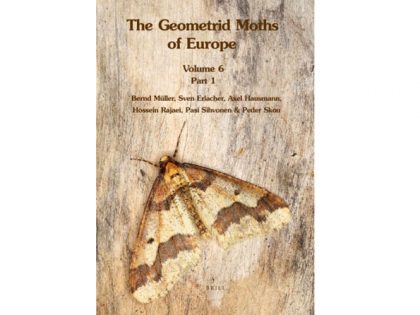 9.126 geomitrid-moths-vol-6