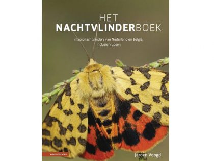 8.999 Het nachtvlinderboek