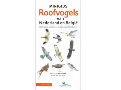KNNV87 minigids_roofvogels_van_nederland_en_belgië