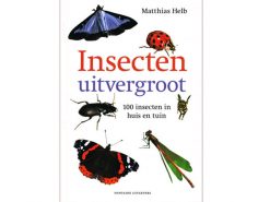 Aanbieding72 Insecten uitvergroot