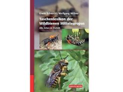 QM06 Taschenlexikon der Wildbienen Mitteleuropas