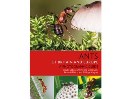 7.296a Ants of Europe
