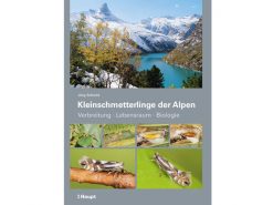 9.637 kleinschmetterlinge-der-alpen