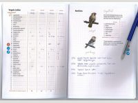 KNNV90 Telschrift Dieren in mijn tuin binnen1