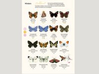 KNNV90 Telschrift Dieren in mijn tuin binnen2
