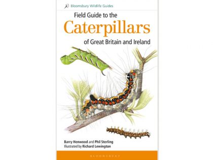 9.053 fieldguide-to-the-caterpillars