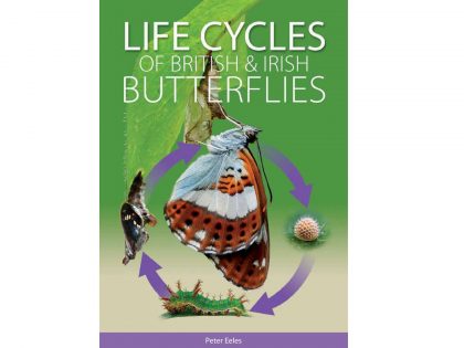 9.487 Life cycles of British and Irish butterflies