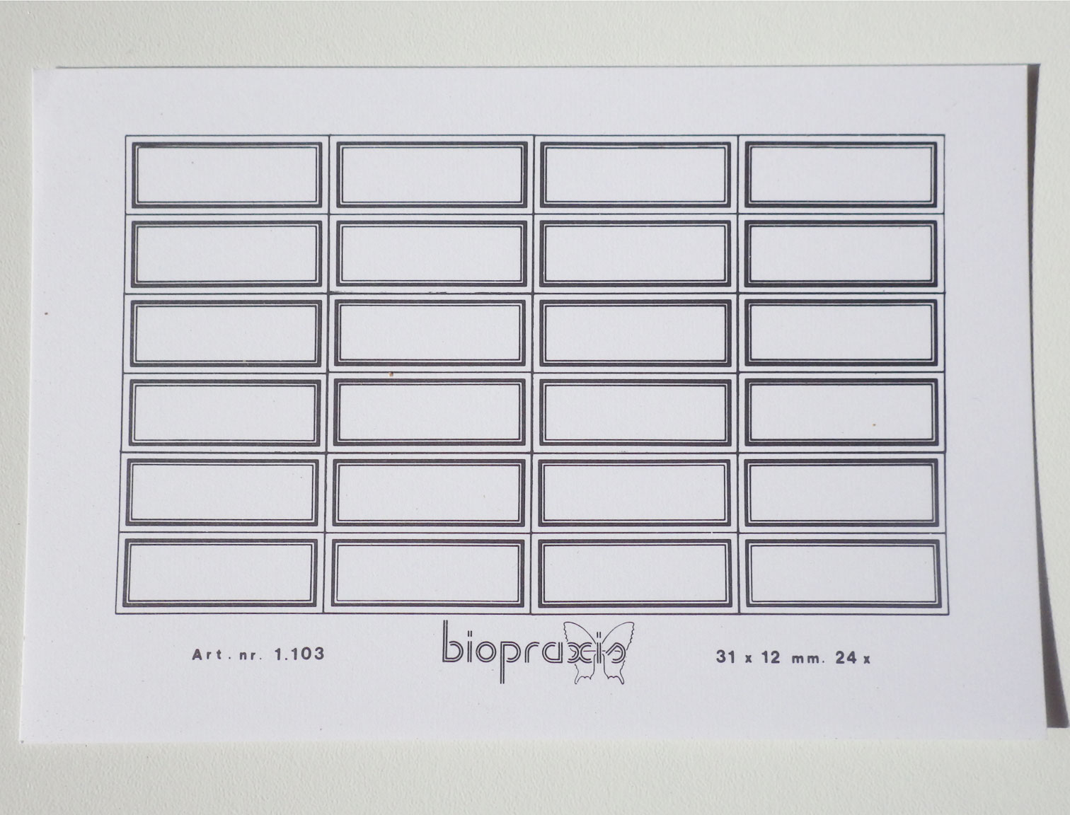 biopraxis-31x9-2