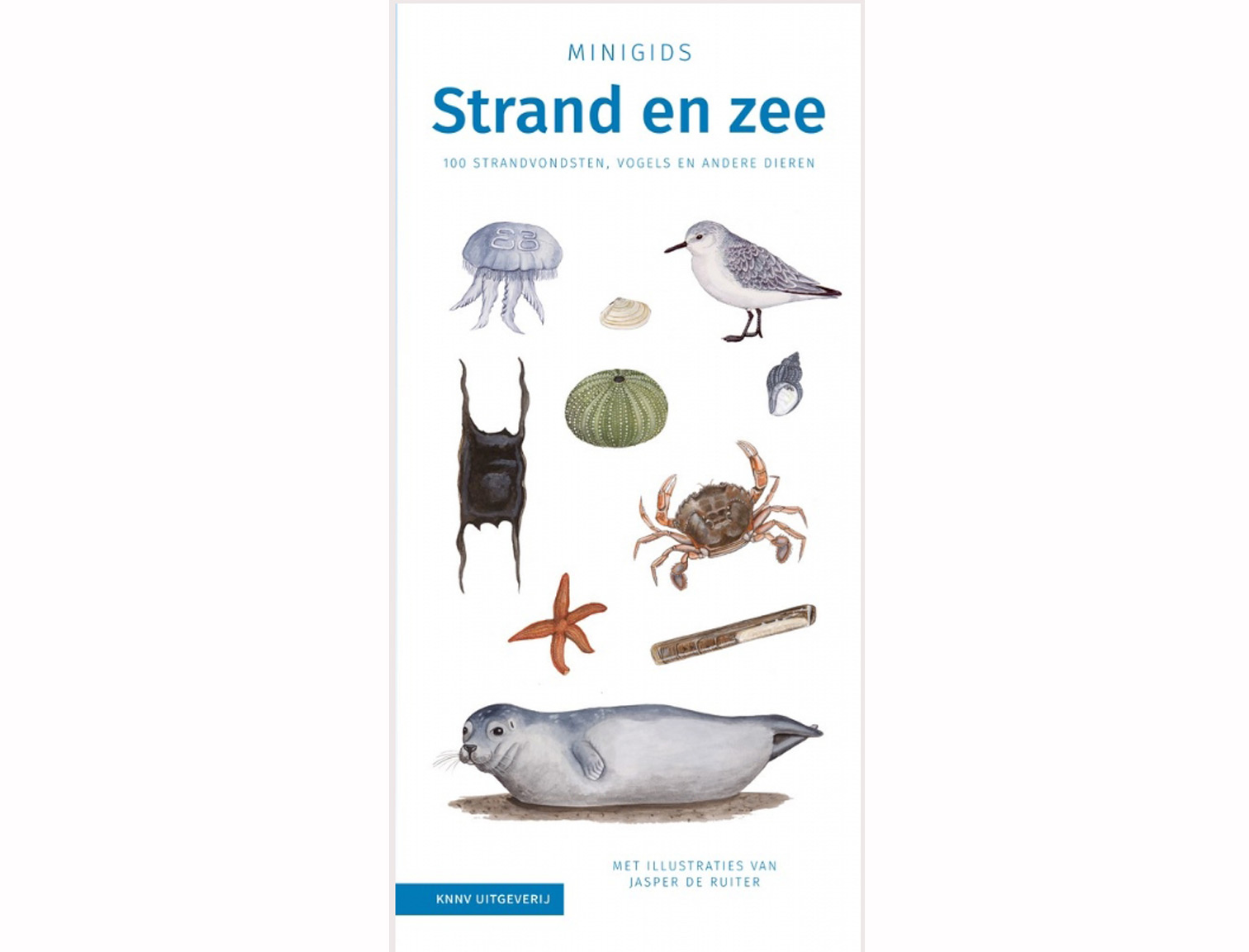 minigids_strand_en_zee