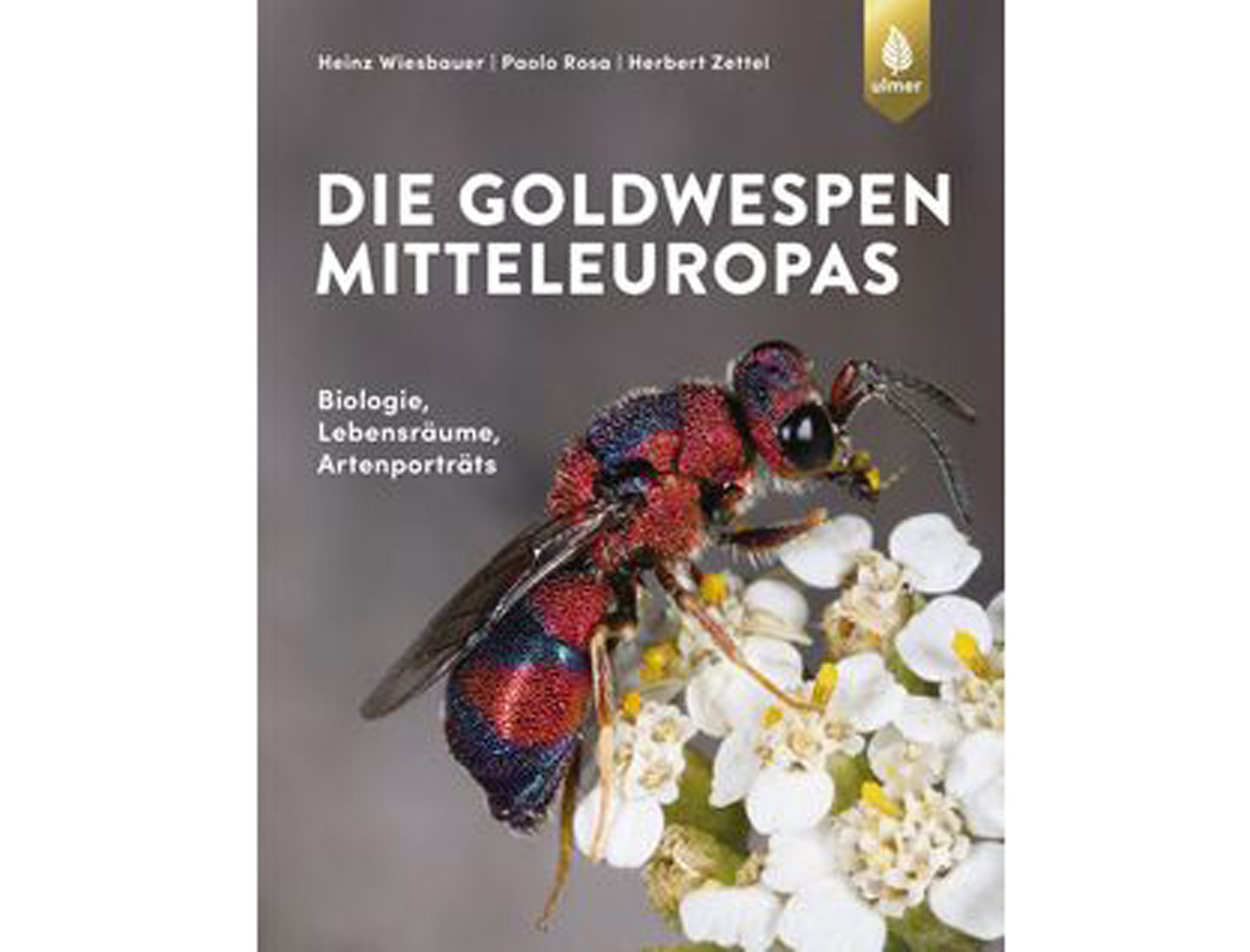 Die-Goldwespen-Mitteleuropas