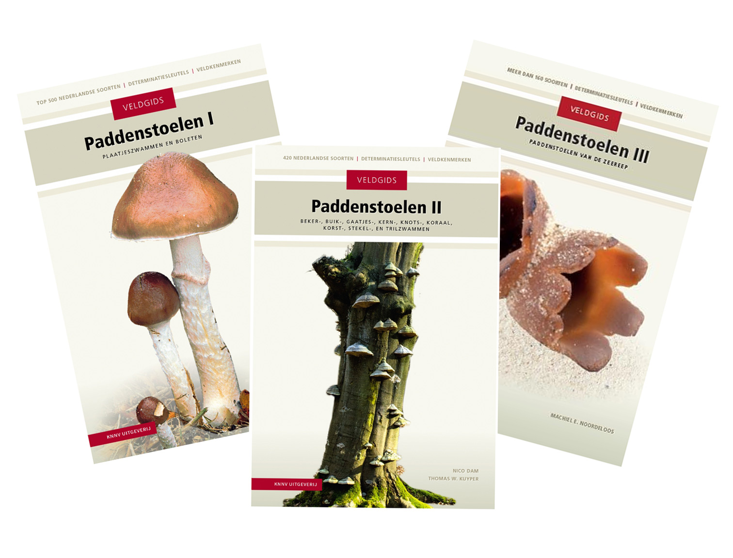 veldgids_paddenstoelen-deel-1-totenmet3