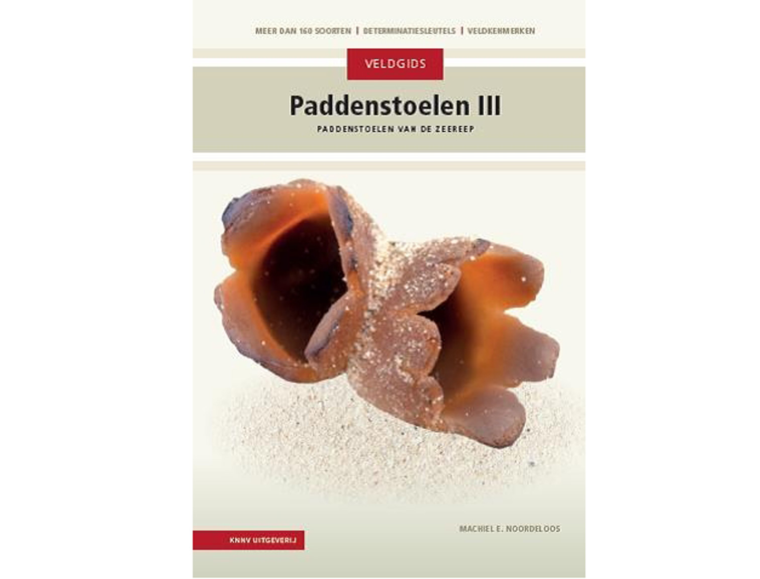 veldgids_paddenstoelendeel-3