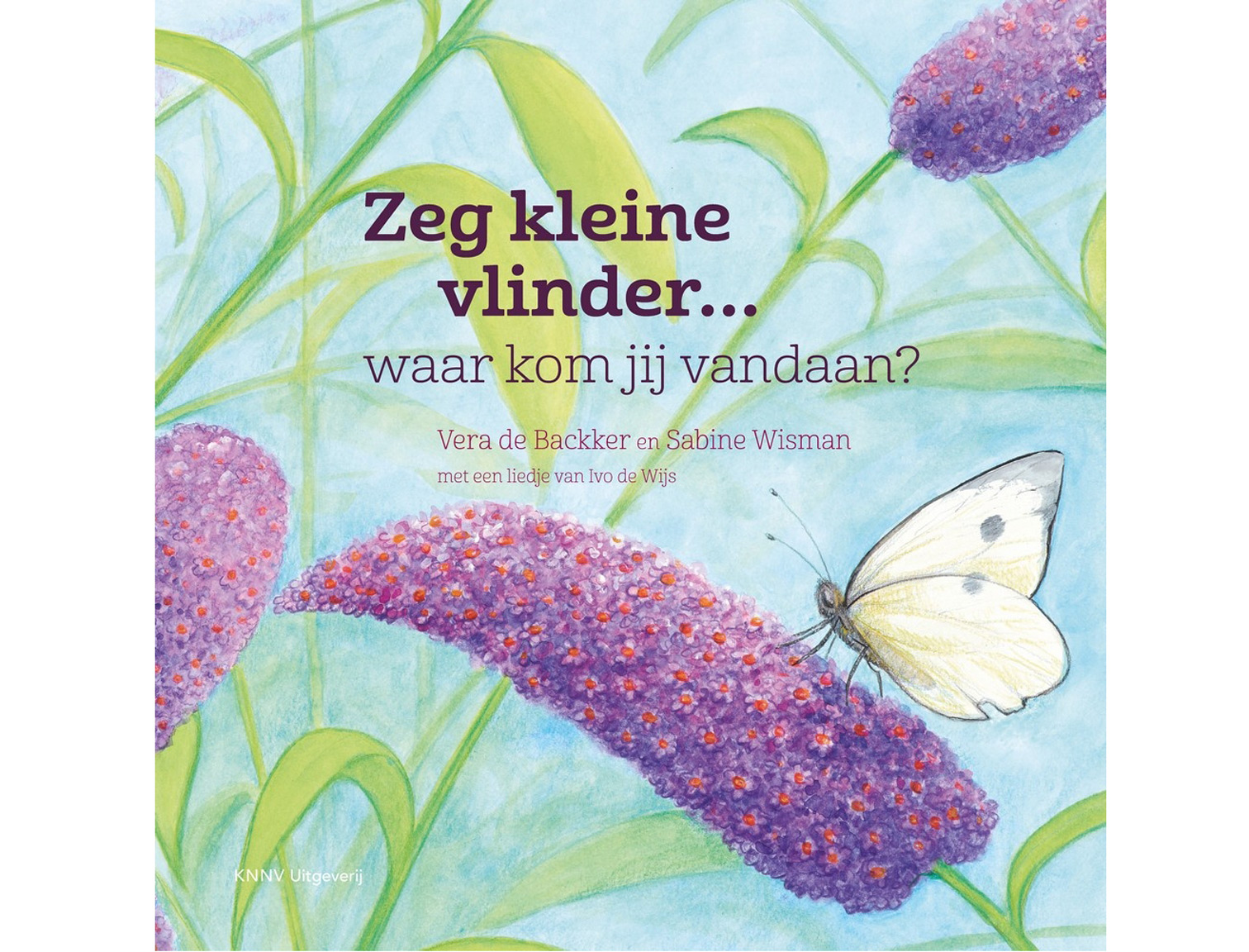 Zeg_kleine_vlinder