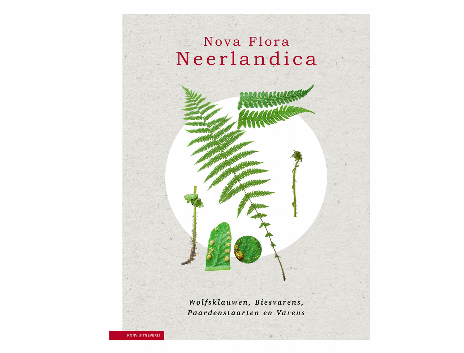 nova_flora_neerlandica