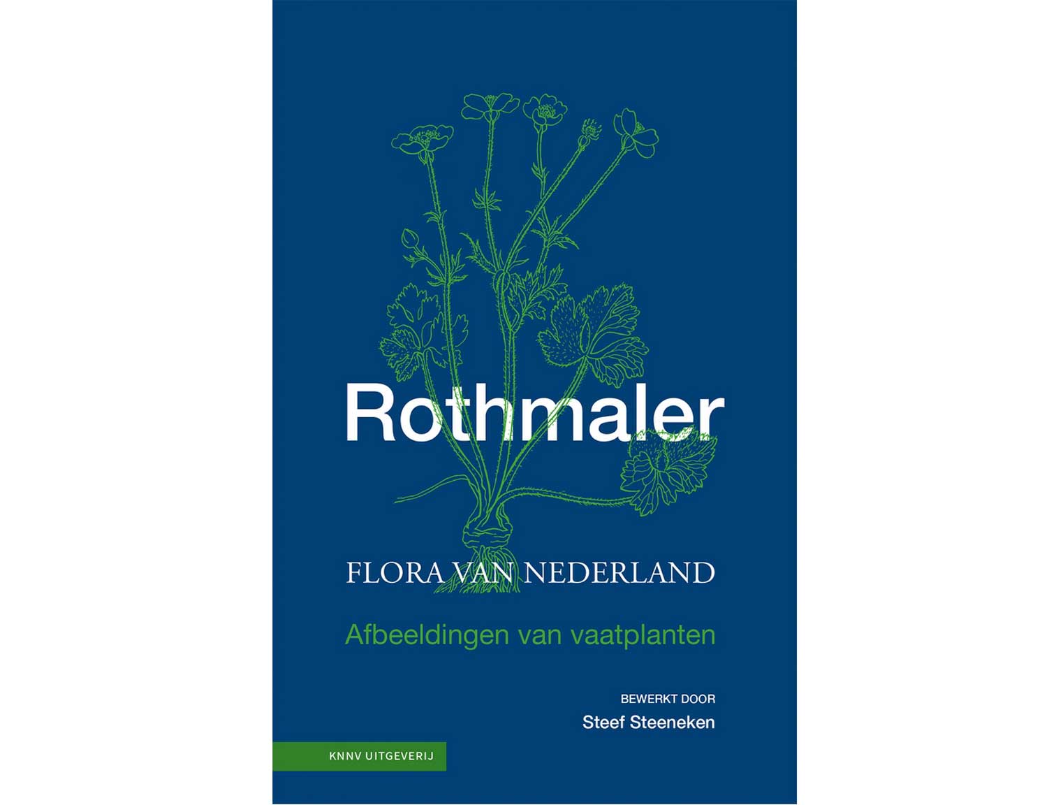 rothmaler(1)