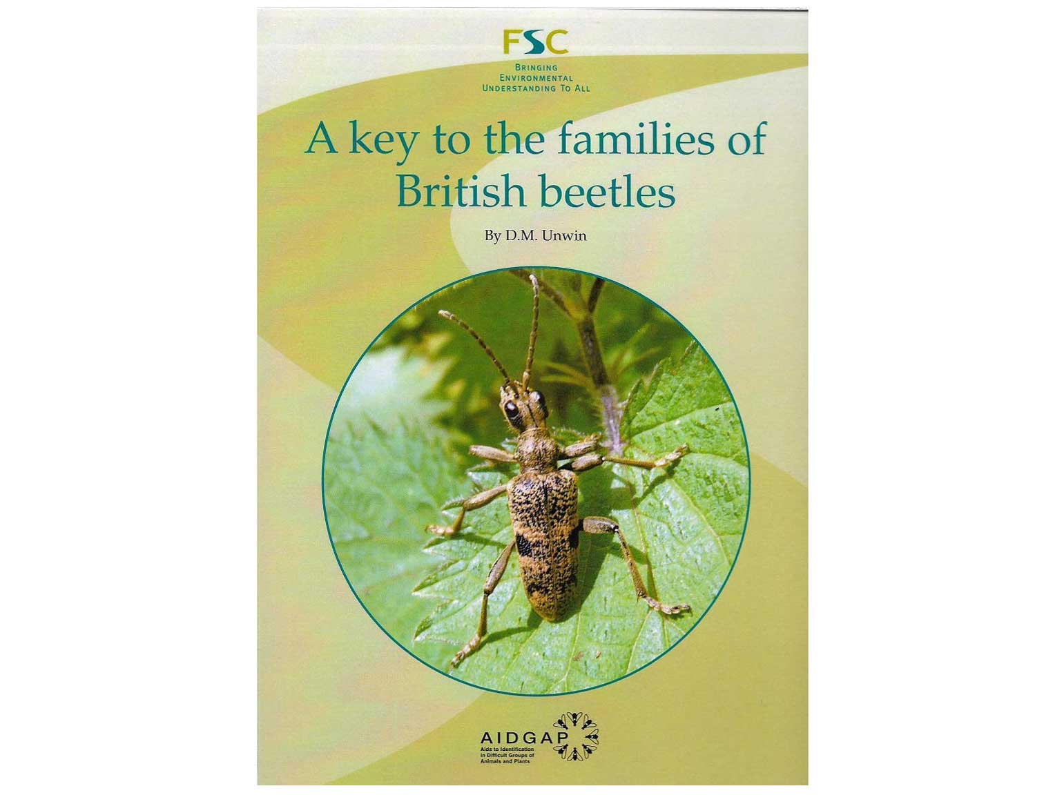 key-british-beetles