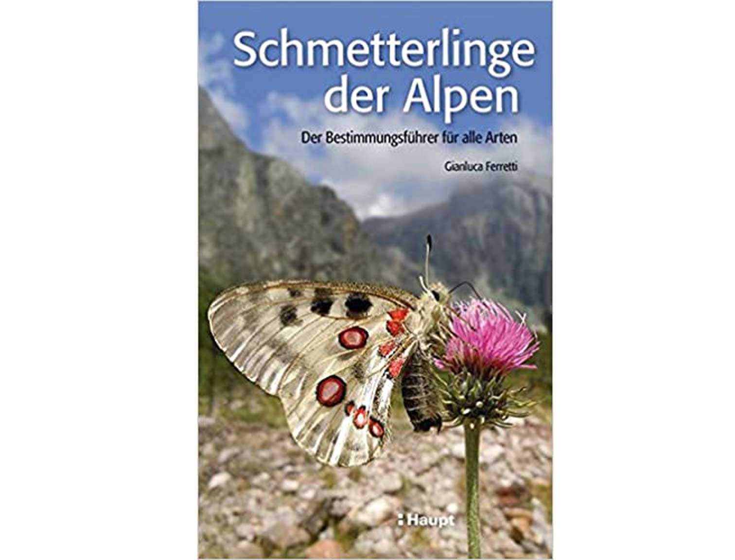 schmetterlinge-der-alpen