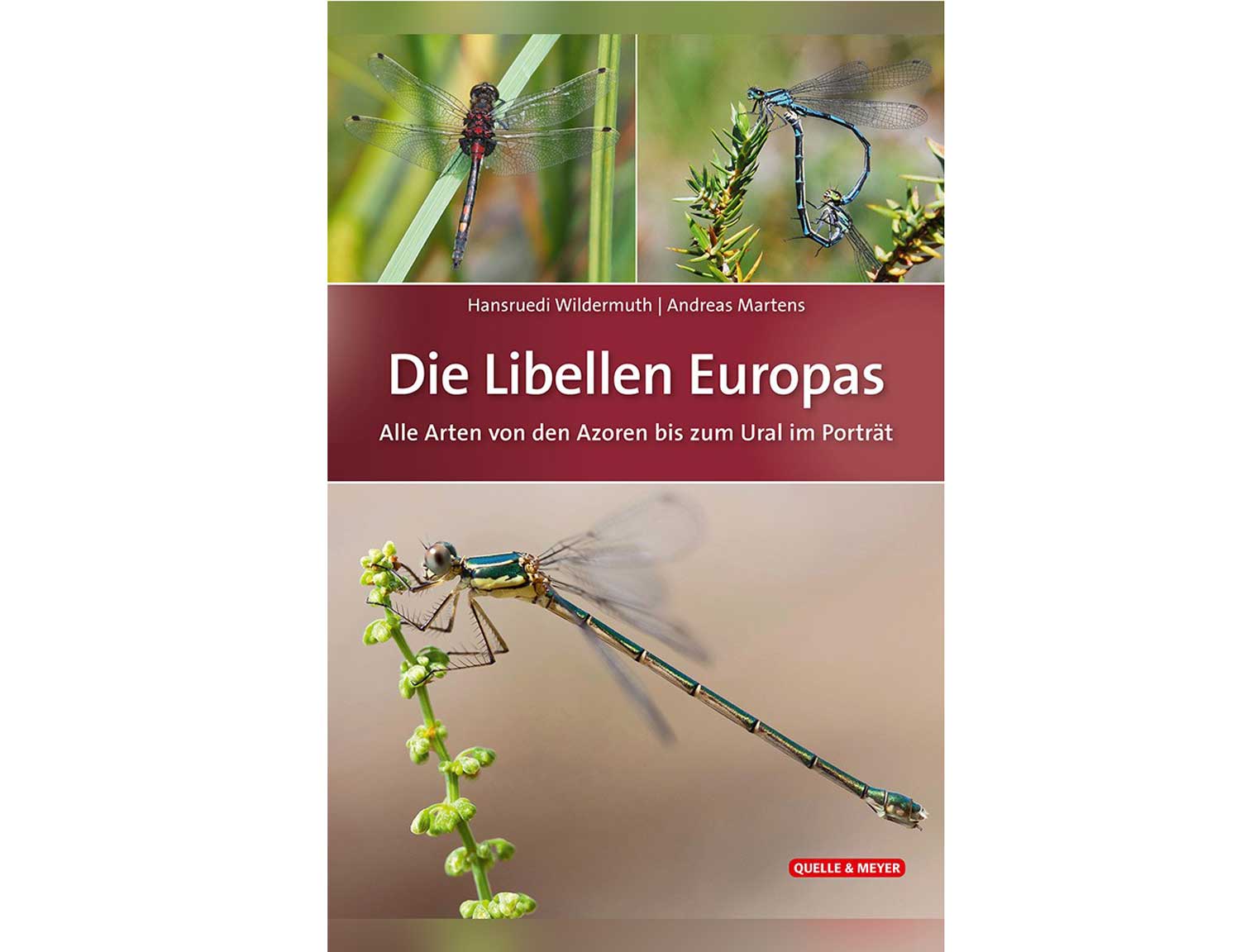 Libellen-europas