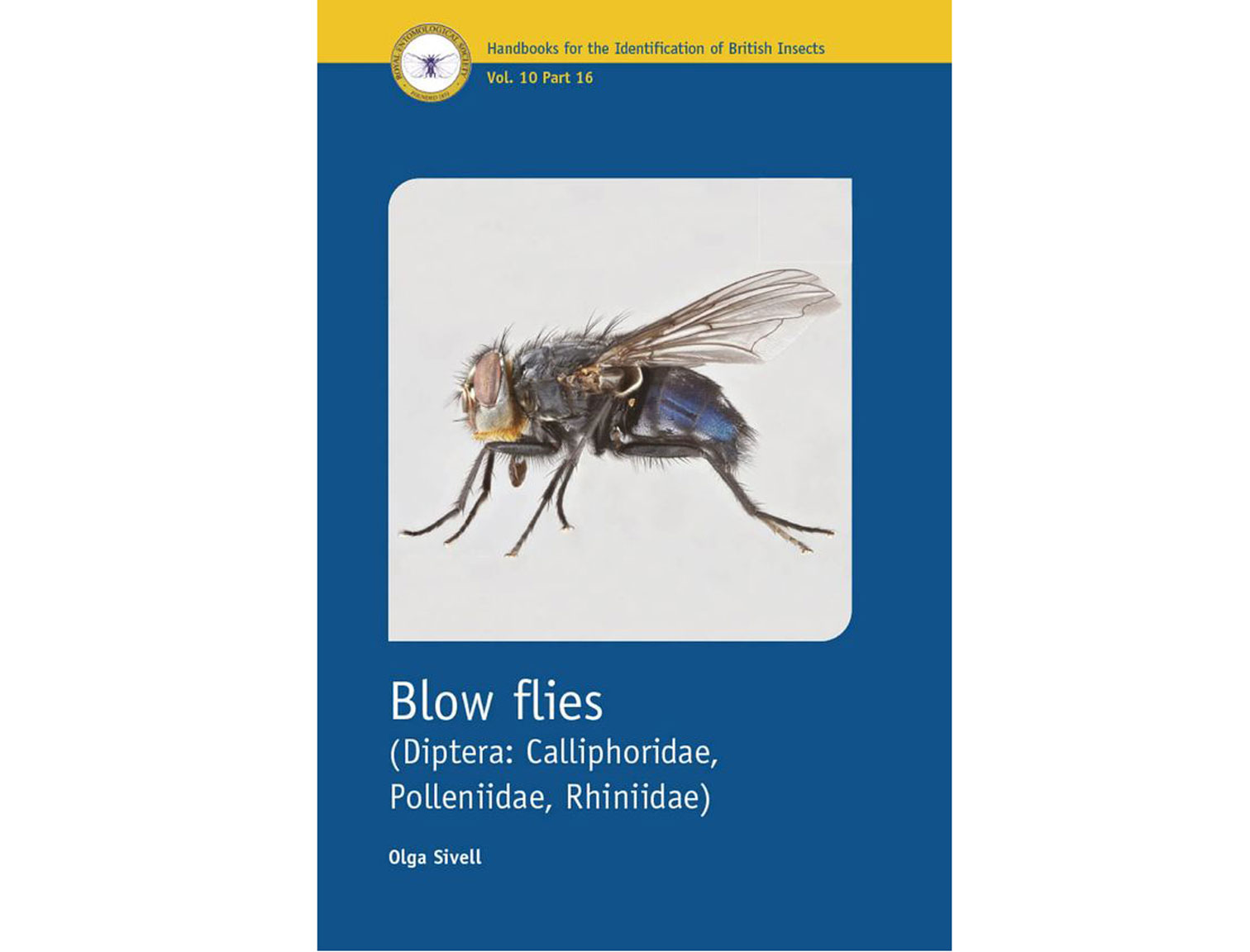 71016--Blowflies