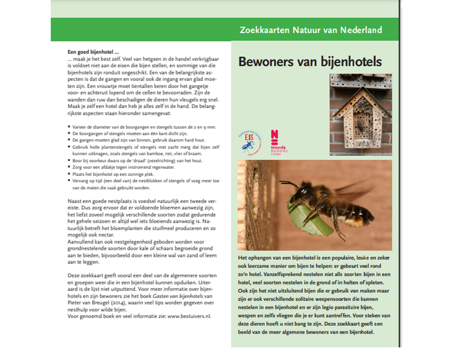 bewoners-bijenhotels