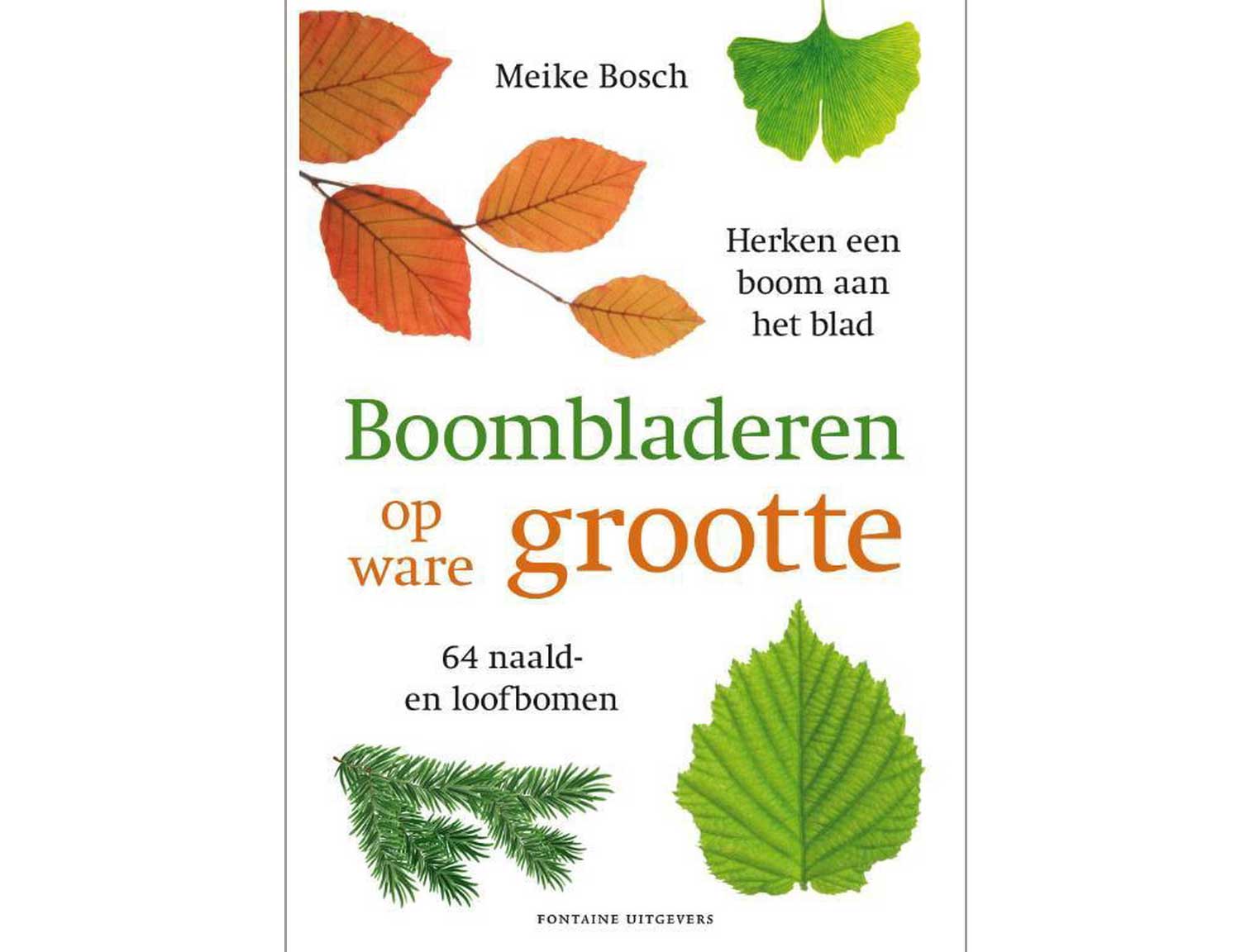boombladeren-1