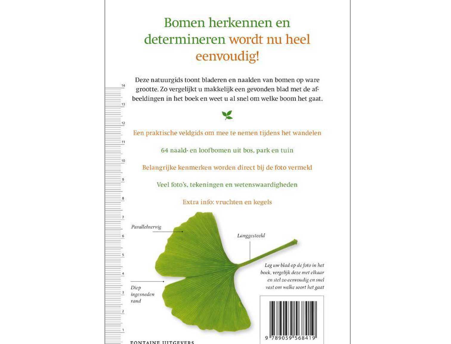 boombladeren-2