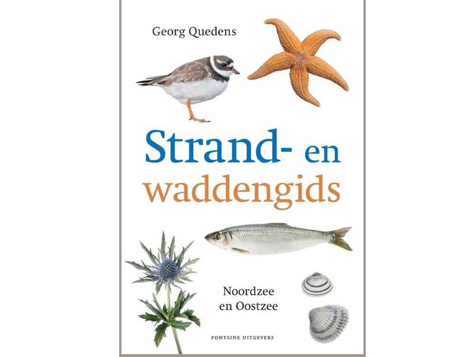 strand-en-waddengids