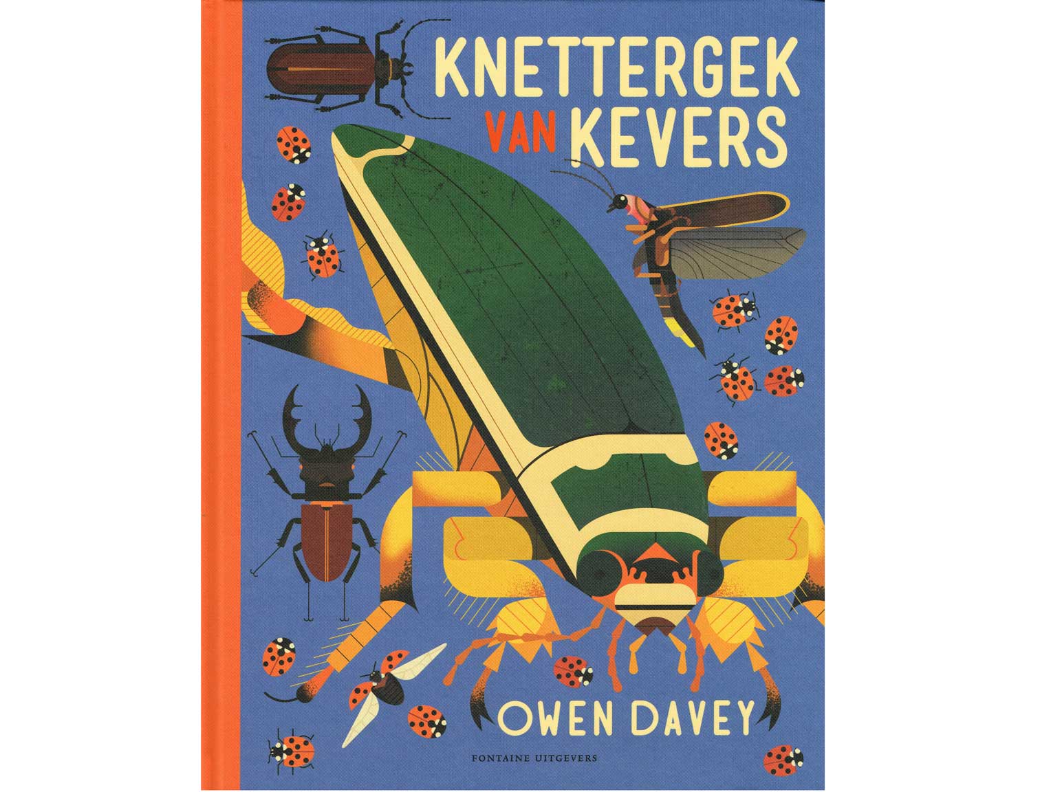 knettergek-van-kevers