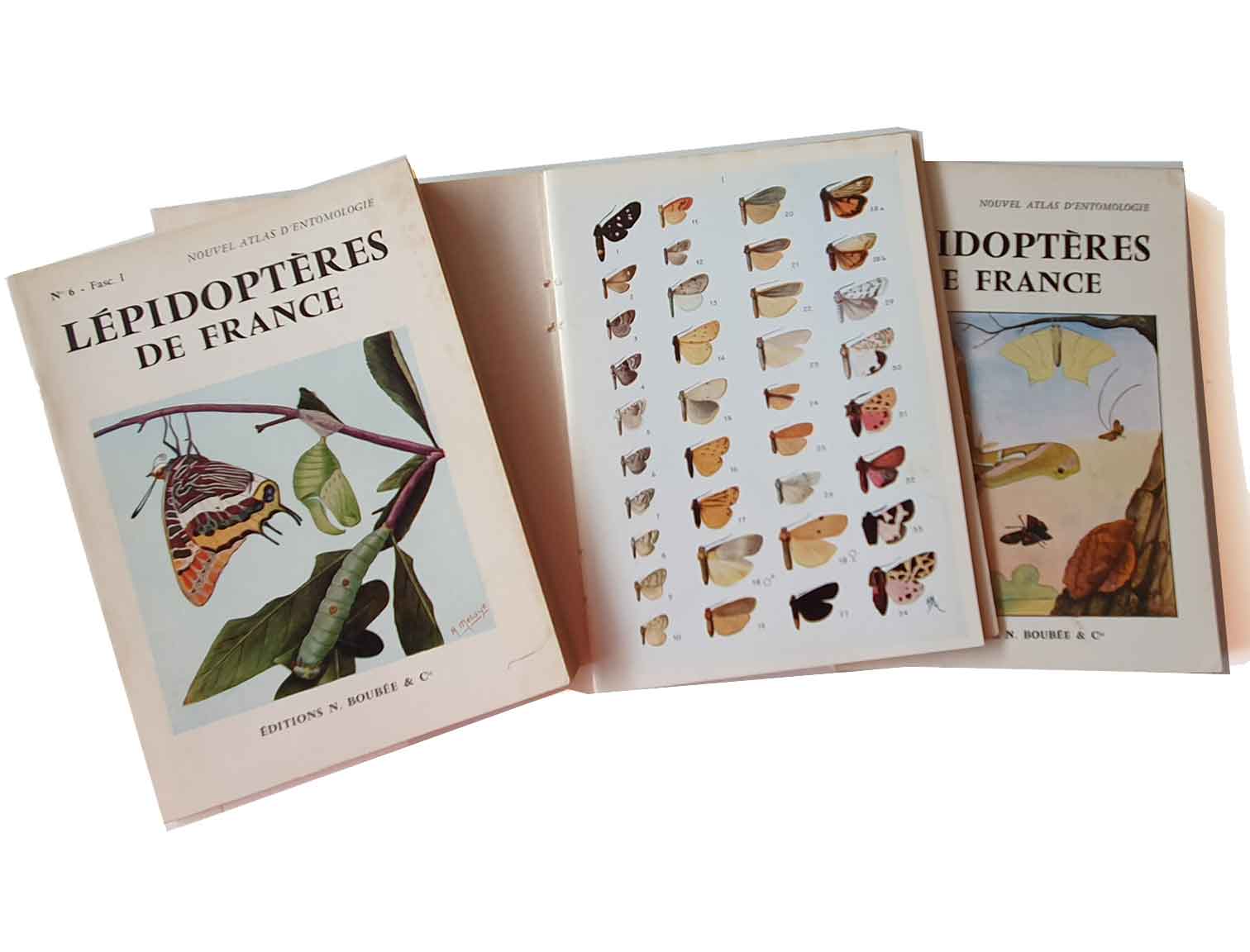 lepidopteres-de-france-vol_1,2,3.2