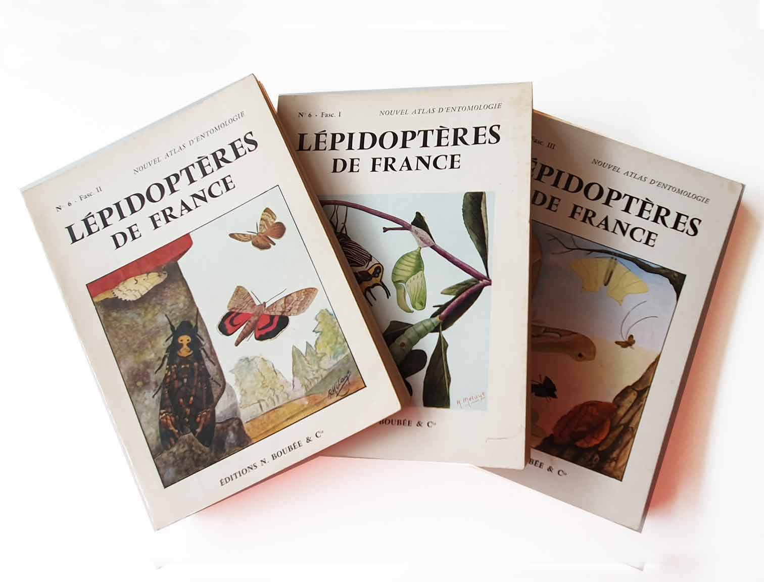 lepidopteres-de-france-vol_1,2,3