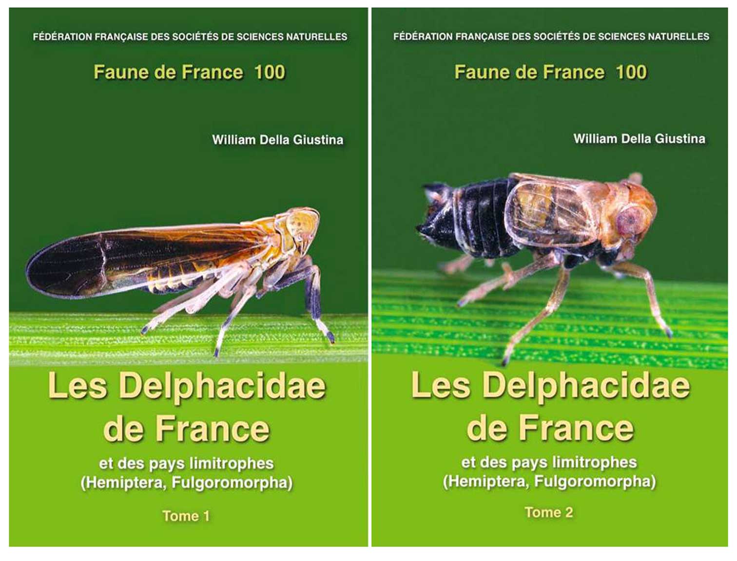 double-couverture-delphacidae