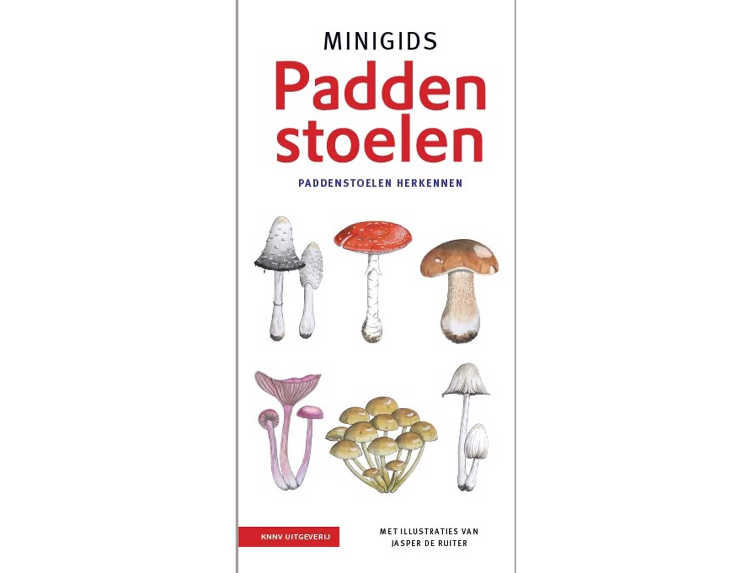 minigids_paddenstoelen