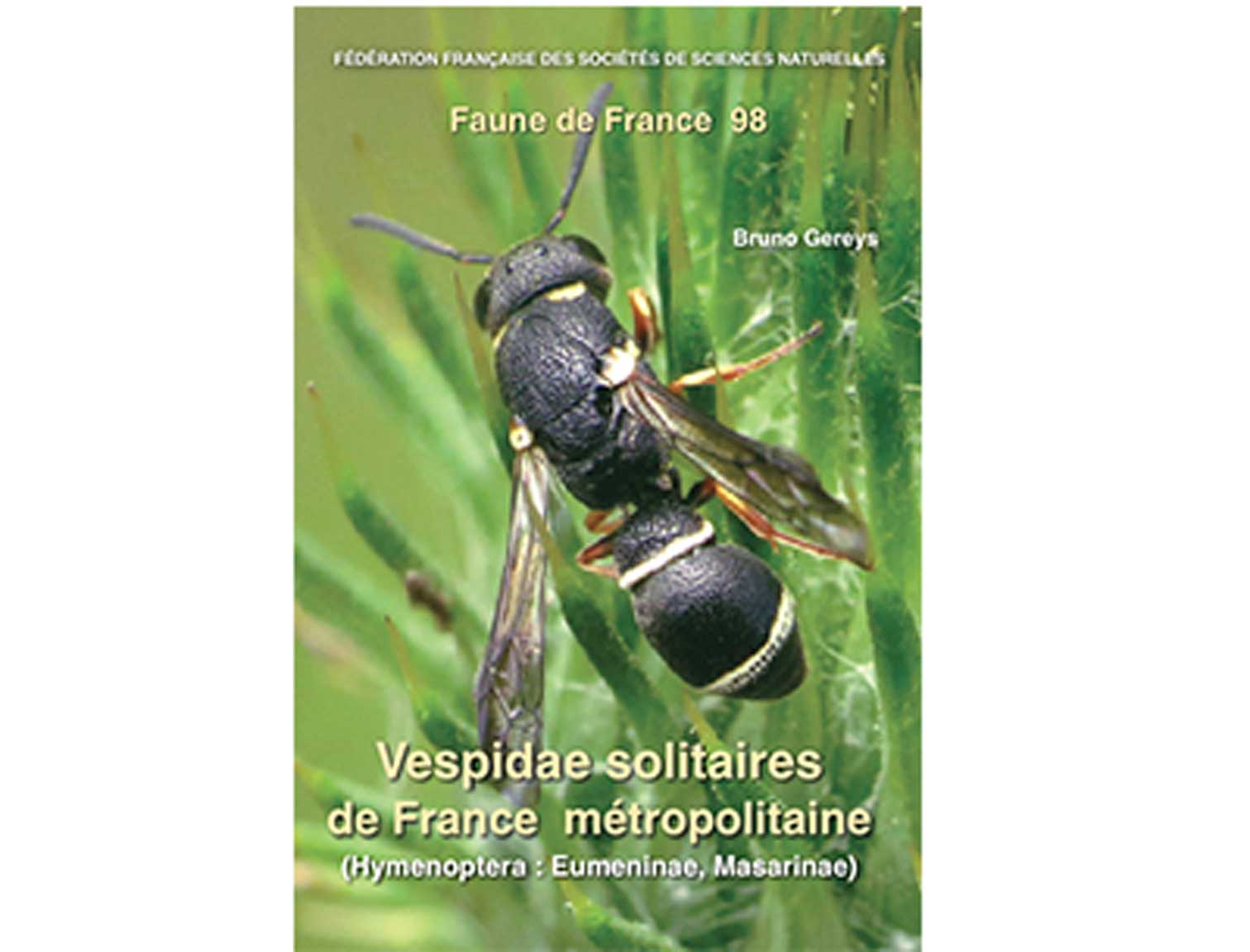 vespidae-solitaire