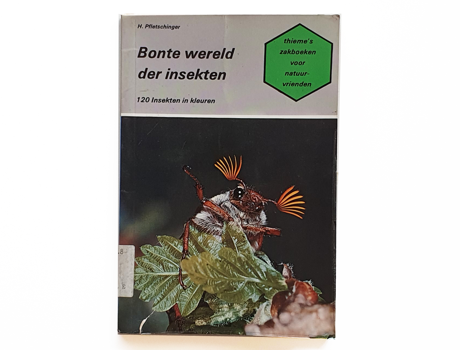 bonte-wereld-der-insecten