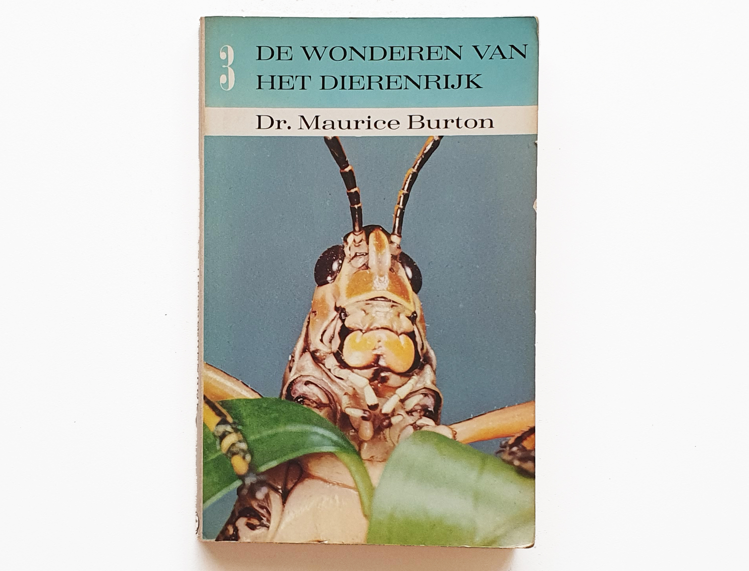 de-wondere-wereld-van-het-dierenrijk