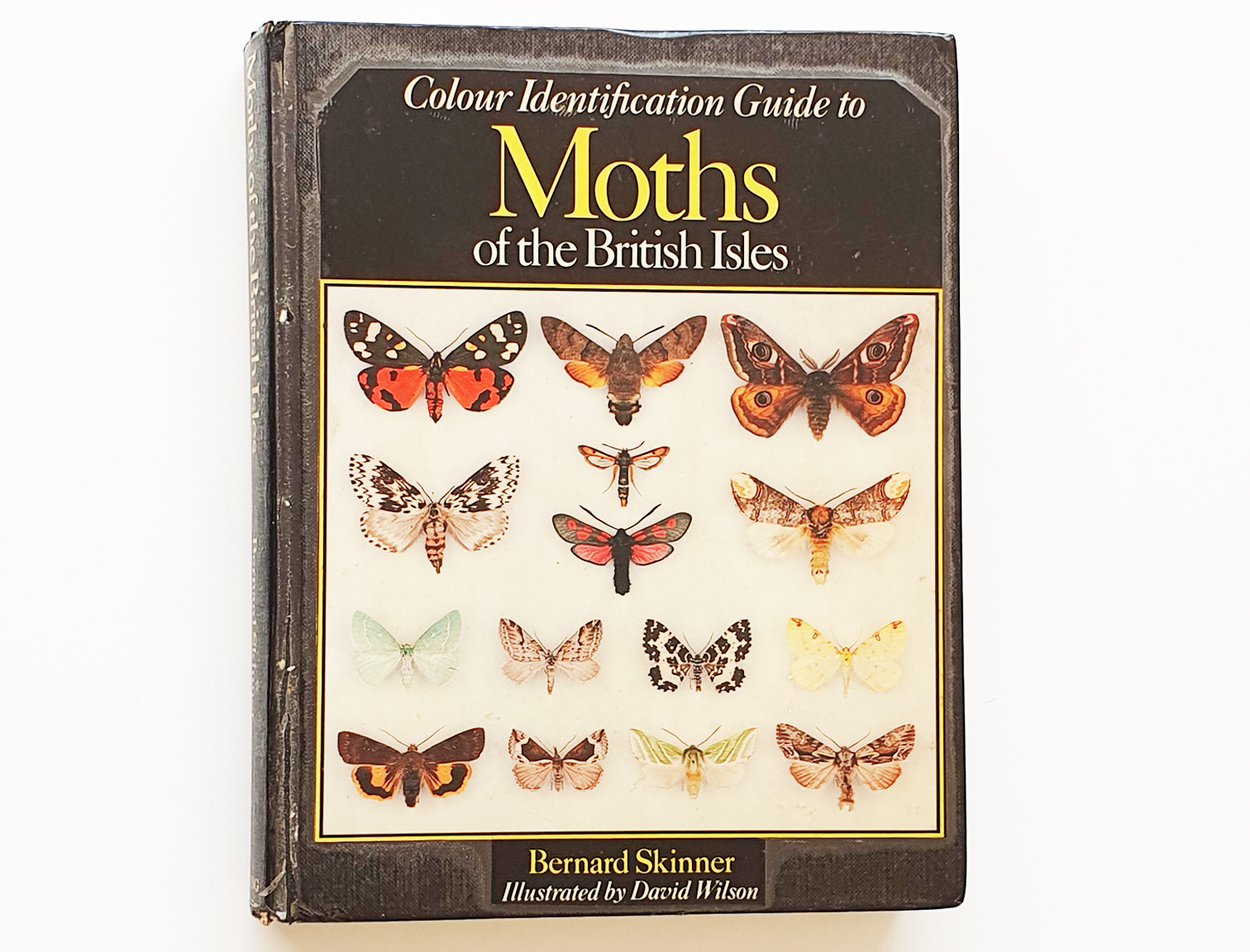 moths-of-british-isles-khm2