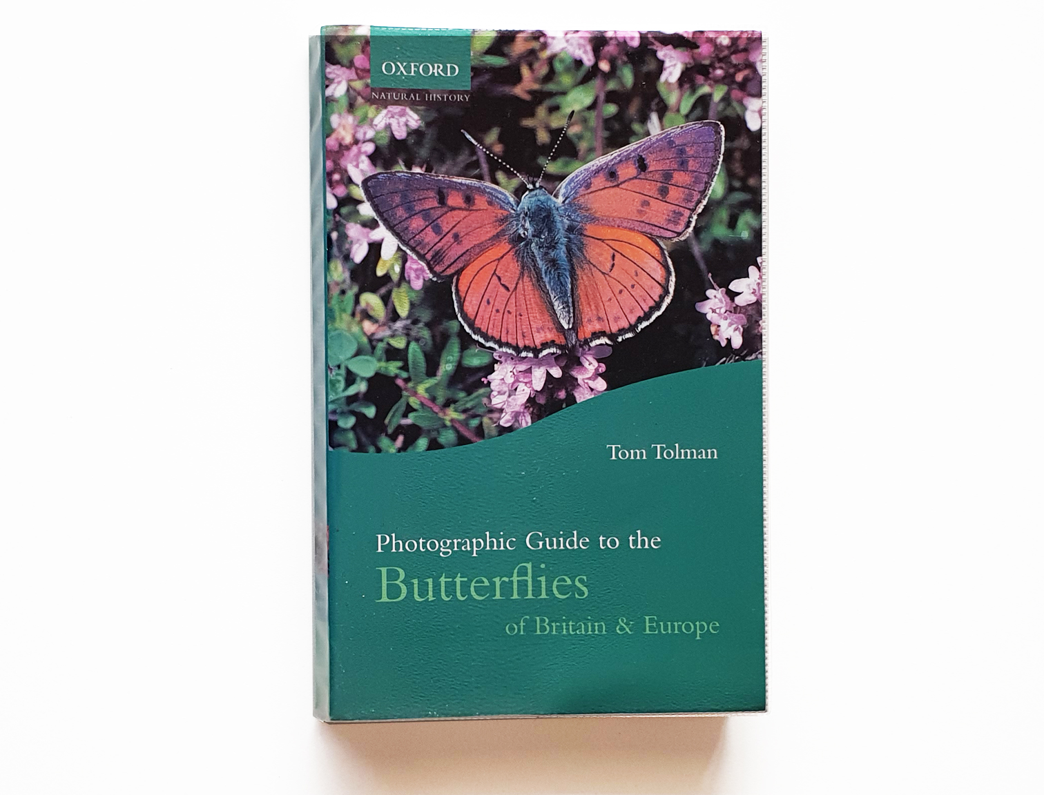 photographic-guide-butterflies