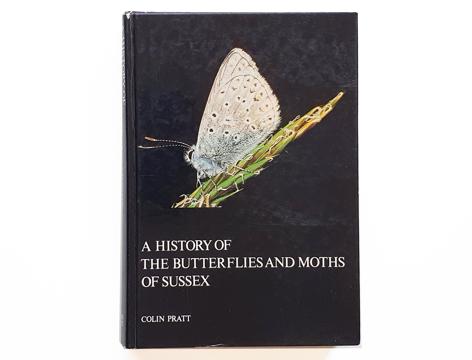 the-history-of-butterflies-in-sussex