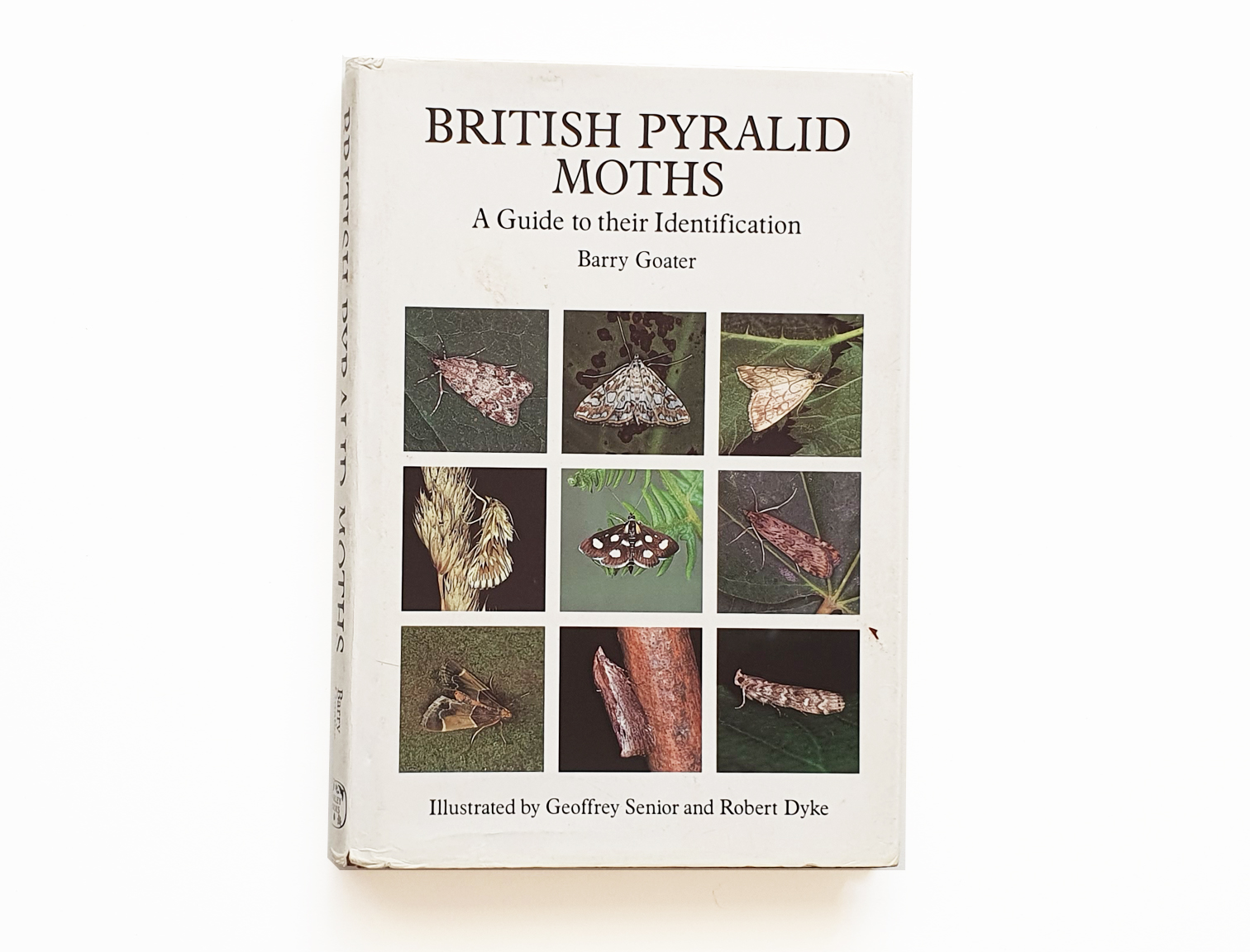 british-pyralid-moths