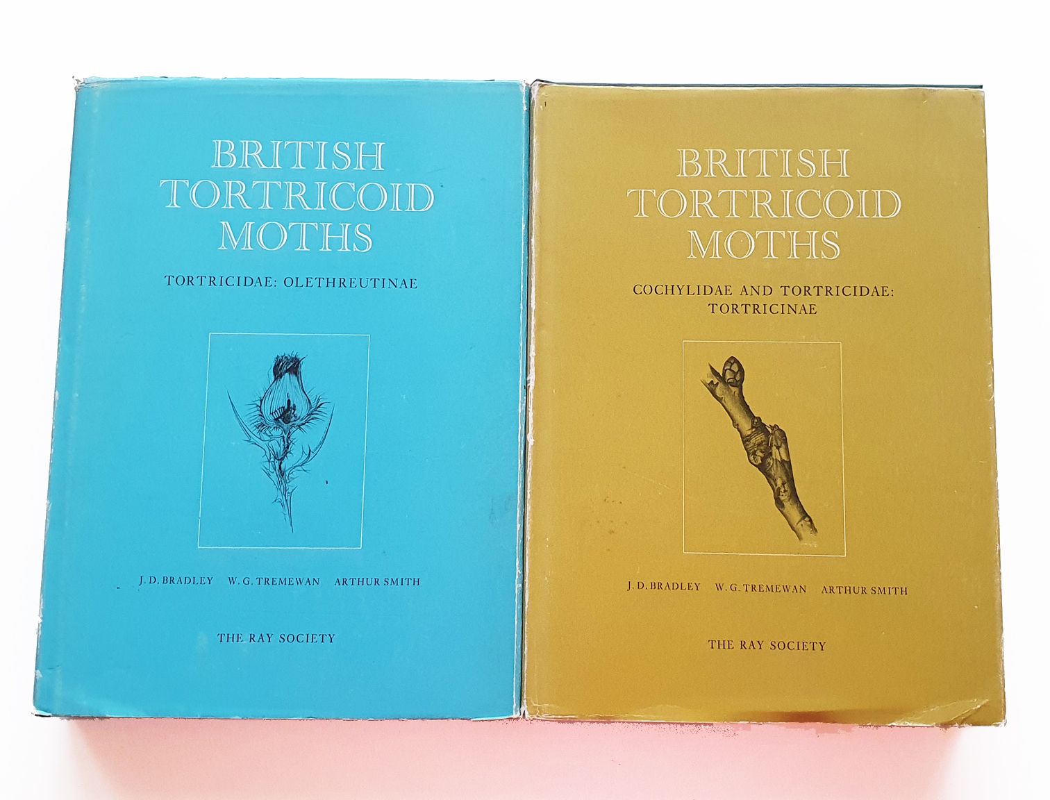 british-tortrociod-moths-1en2