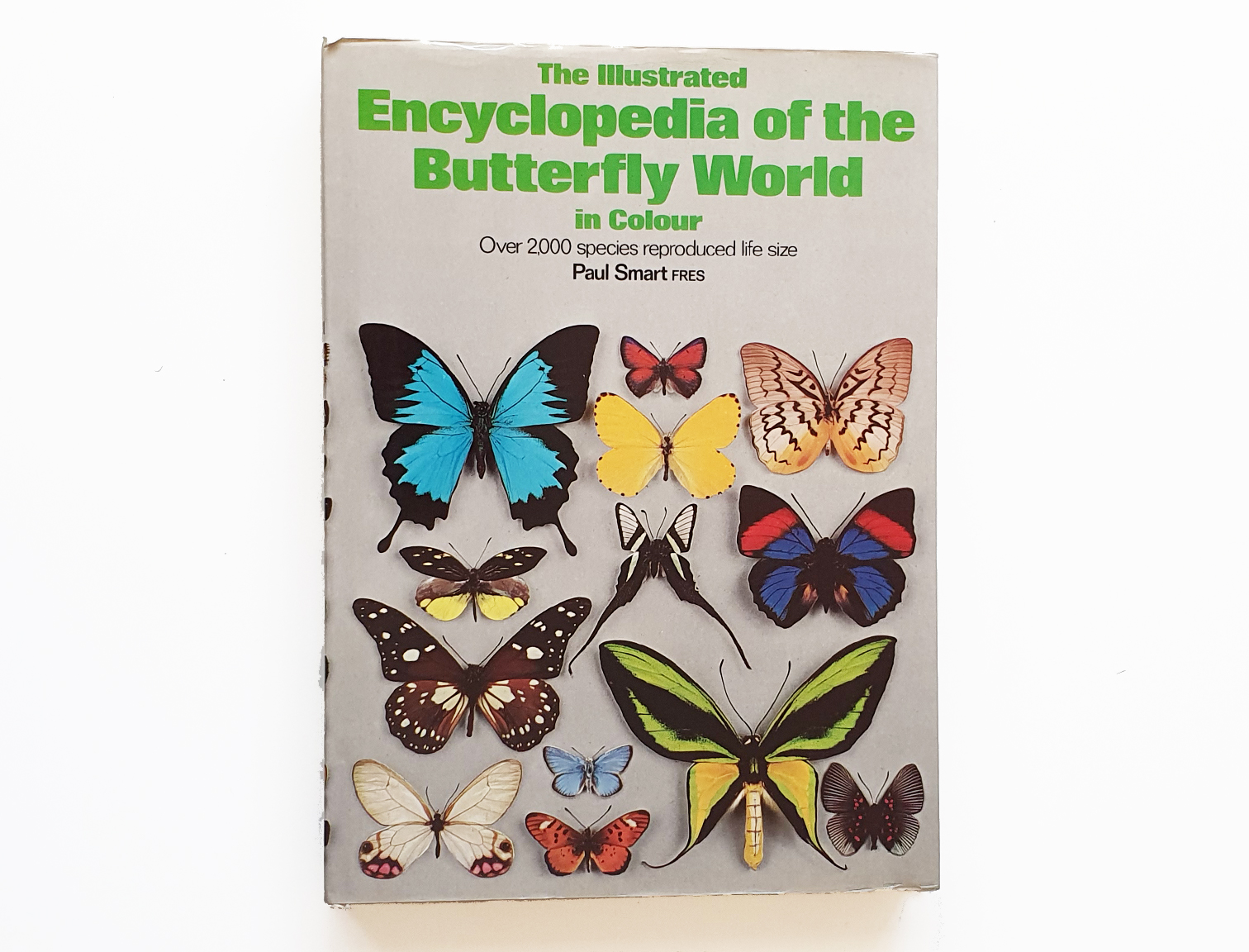 enceclopedia-butterflies-of-the-world