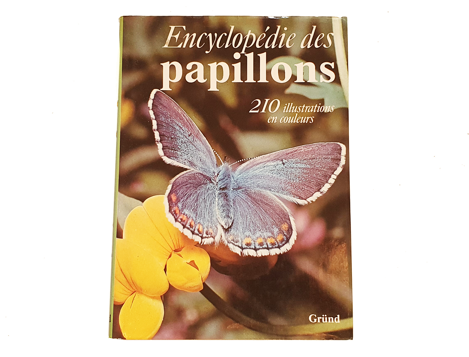 encyclopedie-des-insectes-papillons