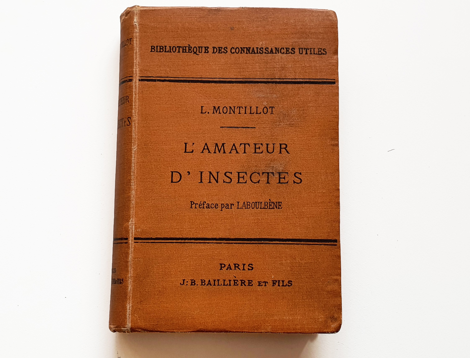 lamateur-de-insectes