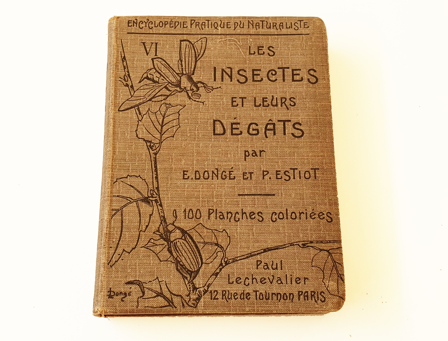 les-insects-et-leur-degat